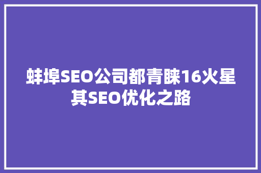 蚌埠SEO公司都青睐16火星其SEO优化之路