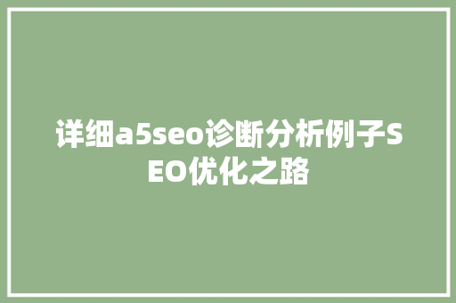 详细a5seo诊断分析例子SEO优化之路