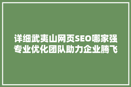 详细武夷山网页SEO哪家强专业优化团队助力企业腾飞之路