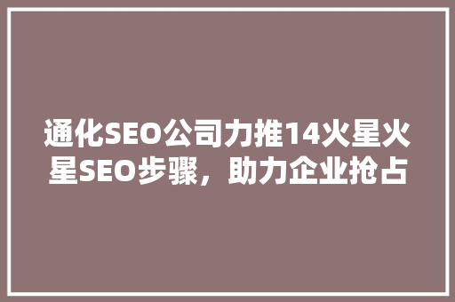 通化SEO公司力推14火星火星SEO步骤，助力企业抢占先机