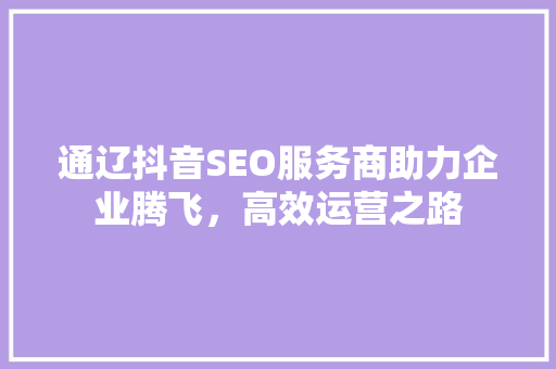通辽抖音SEO服务商助力企业腾飞，高效运营之路  第1张