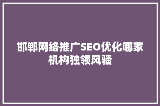 邯郸网络推广SEO优化哪家机构独领风骚  第1张