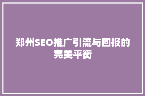 郑州SEO推广引流与回报的完美平衡  第1张