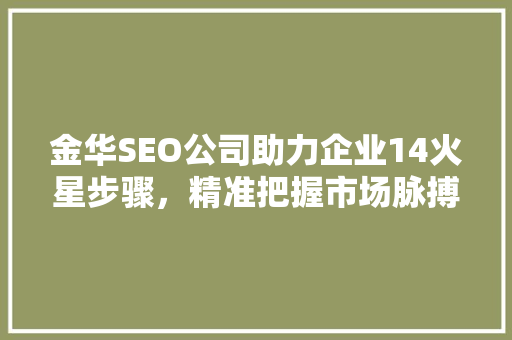 金华SEO公司助力企业14火星步骤，精准把握市场脉搏