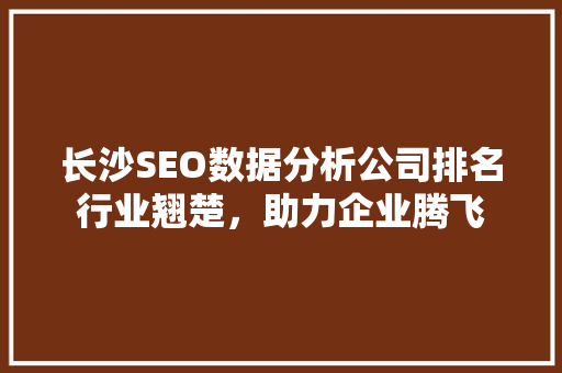 长沙SEO数据分析公司排名行业翘楚，助力企业腾飞