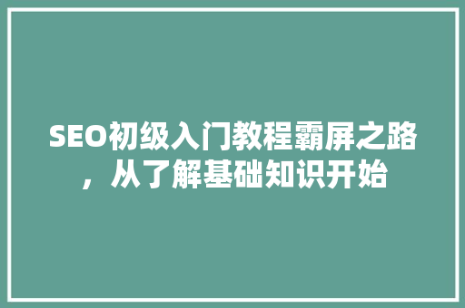 SEO初级入门教程霸屏之路，从了解基础知识开始  第1张
