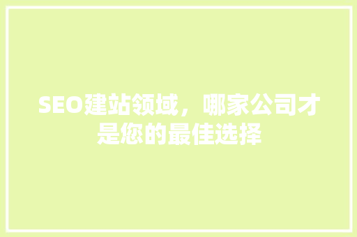 SEO建站领域，哪家公司才是您的最佳选择
