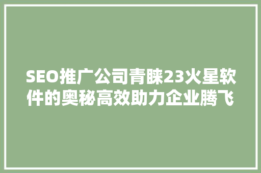 SEO推广公司青睐23火星软件的奥秘高效助力企业腾飞