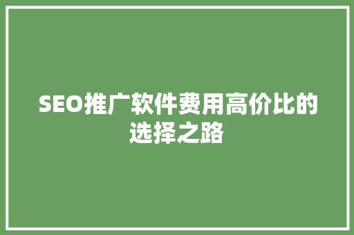 SEO推广软件费用高价比的选择之路