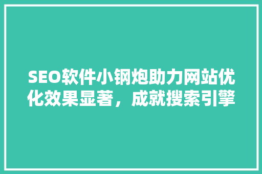 SEO软件小钢炮助力网站优化效果显著，成就搜索引擎优化佳品