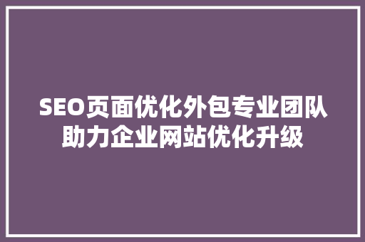SEO页面优化外包专业团队助力企业网站优化升级  第1张