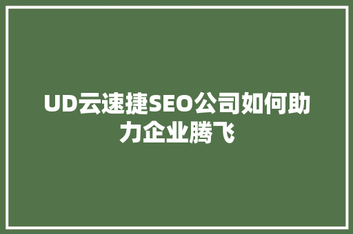 UD云速捷SEO公司如何助力企业腾飞