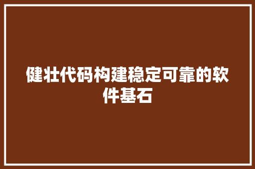 健壮代码构建稳定可靠的软件基石