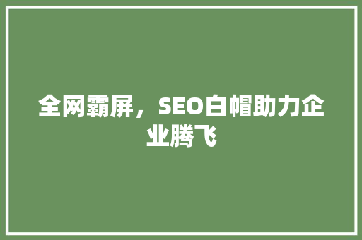 全网霸屏，SEO白帽助力企业腾飞  第1张