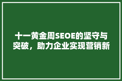 十一黄金周SEOE的坚守与突破，助力企业实现营销新高度