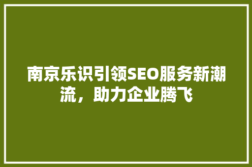 南京乐识引领SEO服务新潮流，助力企业腾飞