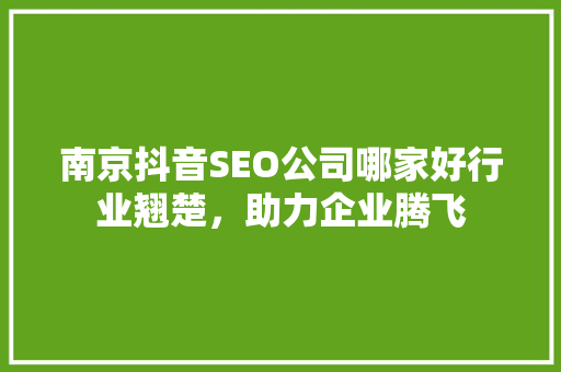 南京抖音SEO公司哪家好行业翘楚，助力企业腾飞