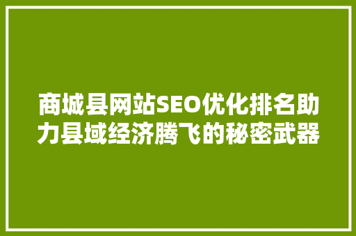 商城县网站SEO优化排名助力县域经济腾飞的秘密武器  第1张