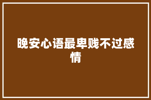 我国查询机构代码体系构建及其在信息化建设中的应用