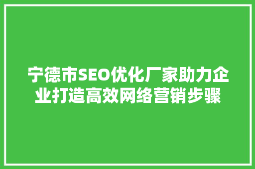 宁德市SEO优化厂家助力企业打造高效网络营销步骤