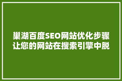 巢湖百度SEO网站优化步骤让您的网站在搜索引擎中脱颖而出