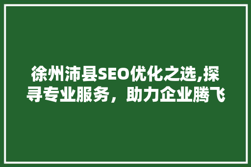 徐州沛县SEO优化之选,探寻专业服务，助力企业腾飞
