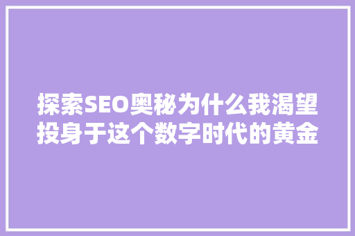 探索SEO奥秘为什么我渴望投身于这个数字时代的黄金矿工