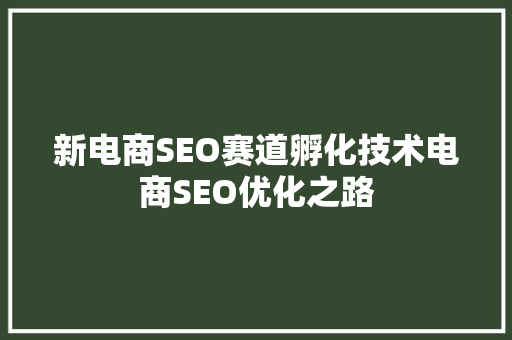 新电商SEO赛道孵化技术电商SEO优化之路