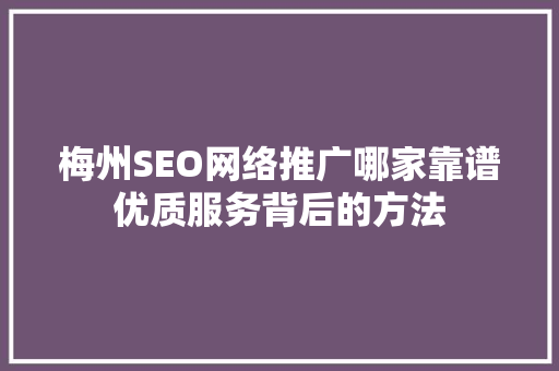 梅州SEO网络推广哪家靠谱优质服务背后的方法