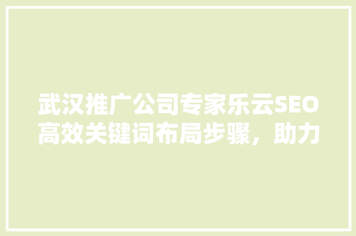 武汉推广公司专家乐云SEO高效关键词布局步骤，助力企业网络营销