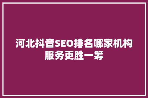 河北抖音SEO排名哪家机构服务更胜一筹