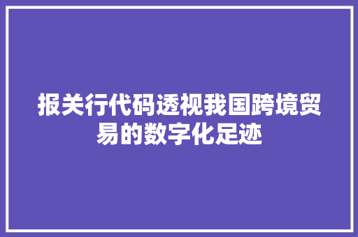 报关行代码透视我国跨境贸易的数字化足迹