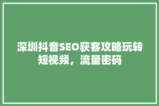 深圳抖音SEO获客攻略玩转短视频，流量密码