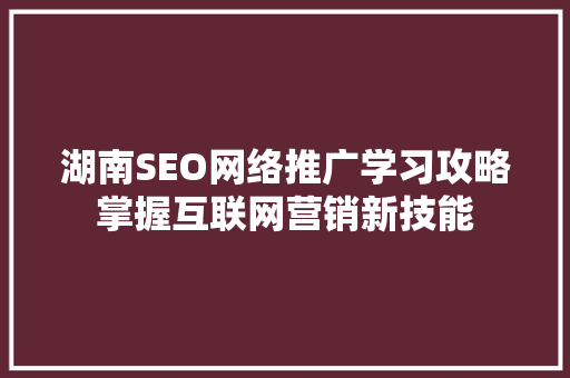 湖南SEO网络推广学习攻略掌握互联网营销新技能
