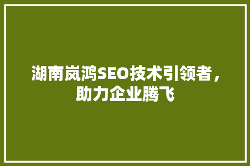 湖南岚鸿SEO技术引领者，助力企业腾飞  第1张