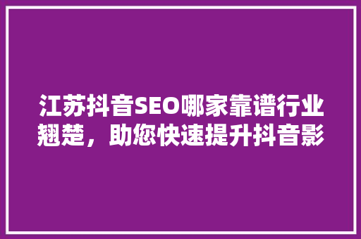江苏抖音SEO哪家靠谱行业翘楚，助您快速提升抖音影响力
