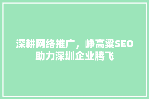 深耕网络推广，峥高粱SEO助力深圳企业腾飞