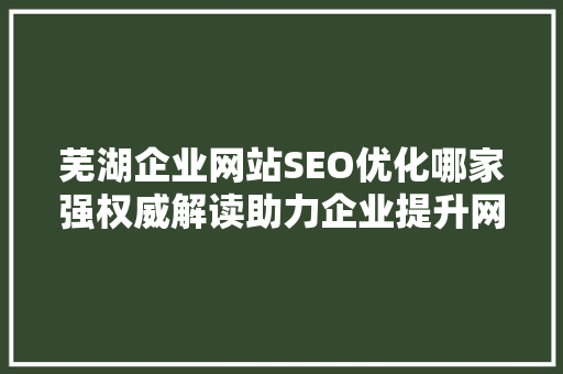 芜湖企业网站SEO优化哪家强权威解读助力企业提升网络竞争力