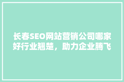 长春SEO网站营销公司哪家好行业翘楚，助力企业腾飞