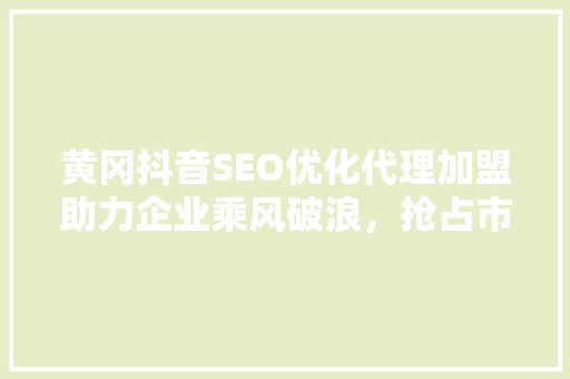 黄冈抖音SEO优化代理加盟助力企业乘风破浪，抢占市场先机