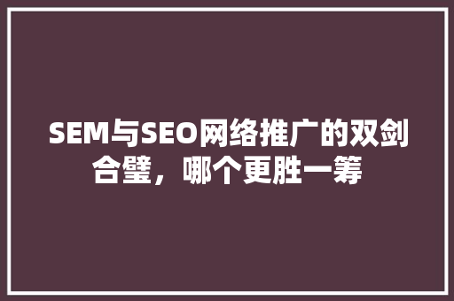 SEM与SEO网络推广的双剑合璧，哪个更胜一筹  第1张