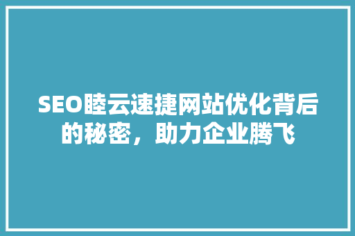 SEO睦云速捷网站优化背后的秘密，助力企业腾飞