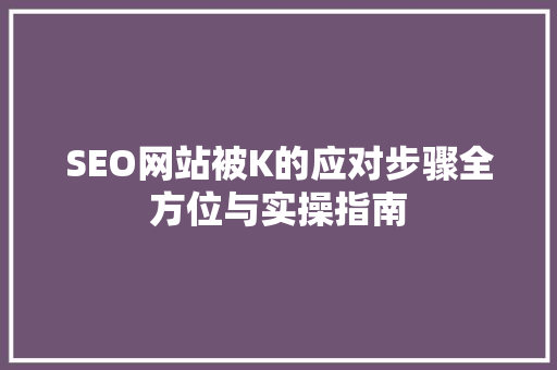 SEO网站被K的应对步骤全方位与实操指南  第1张
