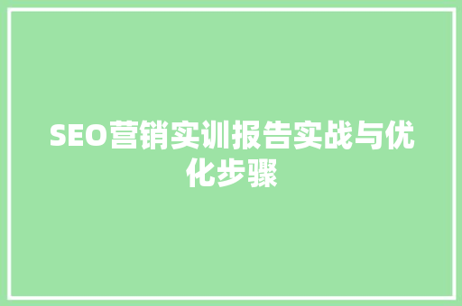 SEO营销实训报告实战与优化步骤  第1张
