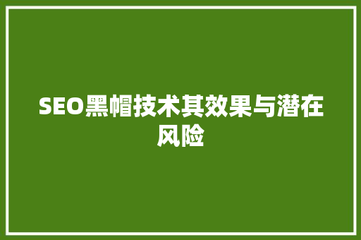 SEO黑帽技术其效果与潜在风险