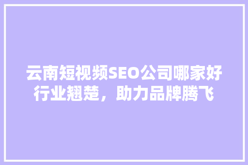 云南短视频SEO公司哪家好行业翘楚，助力品牌腾飞