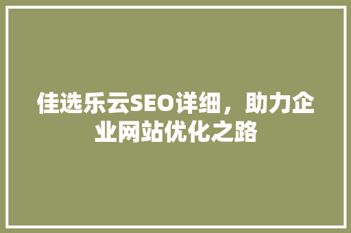 佳选乐云SEO详细，助力企业网站优化之路