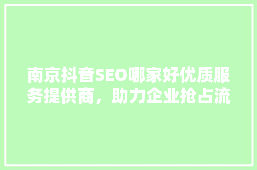 南京抖音SEO哪家好优质服务提供商，助力企业抢占流量高地