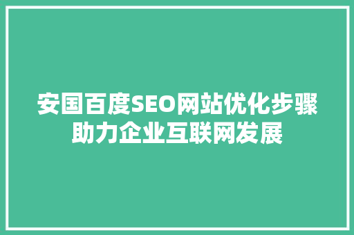 安国百度SEO网站优化步骤助力企业互联网发展
