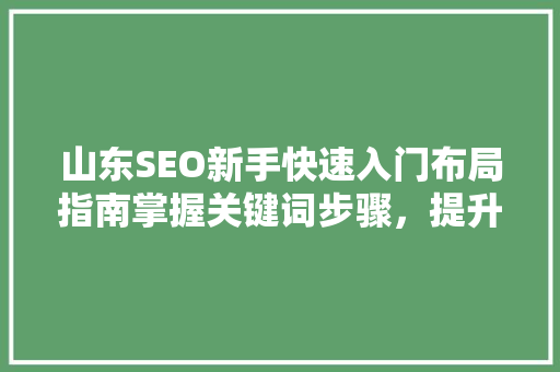 山东SEO新手快速入门布局指南掌握关键词步骤，提升网站排名